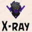 X_ray25567