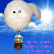 tEA_mushr00M