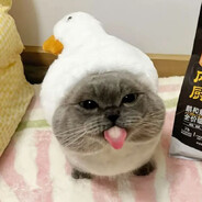 Участник