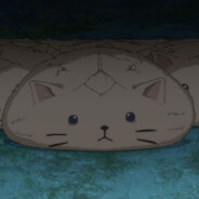 Cat Bagel