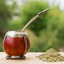 Mate_Enjoyer