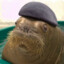 General Walrus