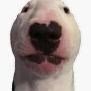 alex's avatar