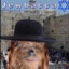 Jewbacca