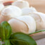 Mozzarella
