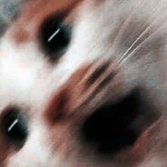 INeedANap Steam avatar