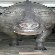 Kabanero