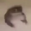 RustyQTips