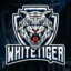 WHITE TIGER