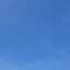 ttgk5