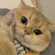 思念是无声的痛楚