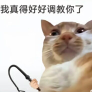 避税太多我得查了