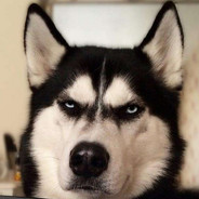 邻居门前晒花椒---麻了