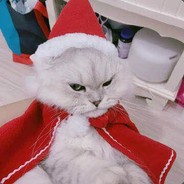 百因必有果 你的报应就是我