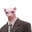 Bingus