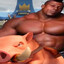 HOG RIDER