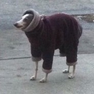 beetlebrown