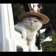 炫倭名人 熊美丽