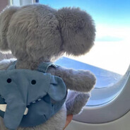 离异带两喷火王八