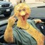 BigBird