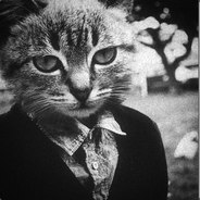 Mr Cat - steam id 76561198080584259