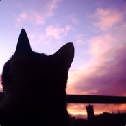 GG WP - steam id 76561197961803762