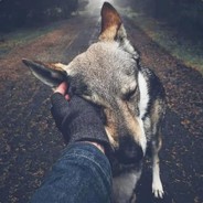 时光倒流二十年