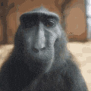 Gardem_ avatar