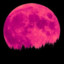 PinkMoon