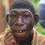 Chimpanzini Bananini
