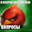 джентельмены 7.2