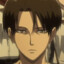 Levi