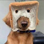 真心不一定能换来真心，但力度一定能换来声音