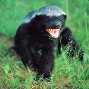 rokz53 - steam id 76561197971063895