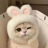 Toutoi