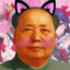 MEOW MEOW MAO