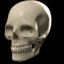CherryXray