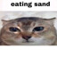 ŠOUP