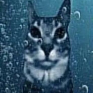 knee how - steam id 76561199168174482