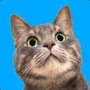 Gibolo avatar