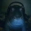 Mr. Hippo