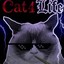 Cat4Life