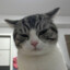 大憨Der