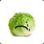 Sad Lettuce