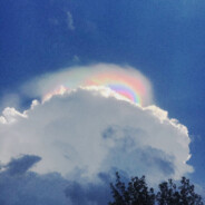 [SlgPenis] ㄥᐯᗪ爪