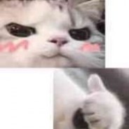 波妞波妞快快游