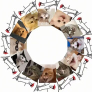 我真想不出来了