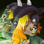 An Unidentified-Canid ΘΔ