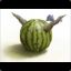 Lazy melon