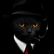 dandiz avatar